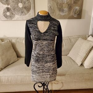 Papillon Cozy Sweater Dress sz Small